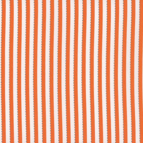 Windham Fabrics Anthology Becolourful by Jacqueline de Jonge Magic Stripe