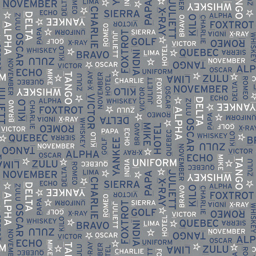 AE Nathan Fabrics US Air Force Metal Grey Blue NATO Phonetic Alphabet