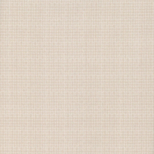 Clothworks Fabrics Shhh Background Blenders Basketweave Tan Brown Cream