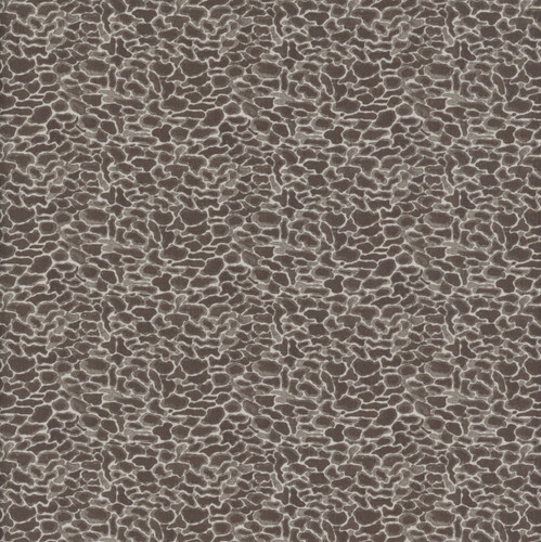 Windham Fabrics Forest Fruits Morel Mushroom Charcoal Grey