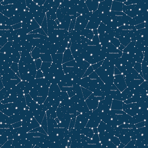 Riley Blake Designs Reach for the Stars with NASA Riley Cloward Constellations Navy