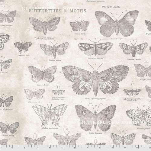 Free Spirit Fabrics Monochrome by Tim Holtz Butterflies- Parchment