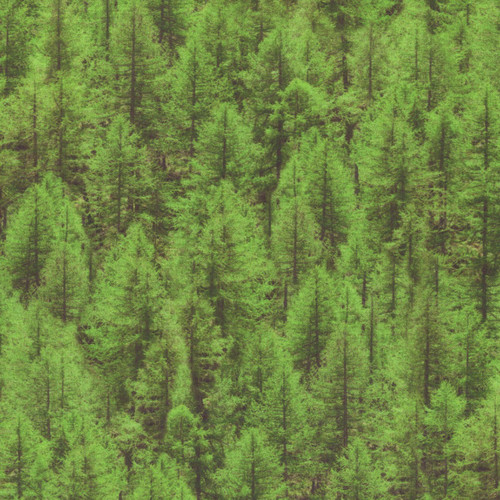 Windham Fabrics Landscapes 2020 Evergreen Multi