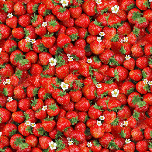 Timeless Treasures Fabrics Berry Sweet Packed Sweet Strawberries Red