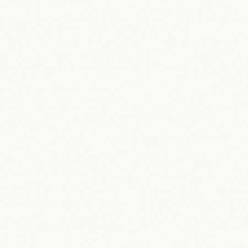 Timeless Treasures Fabrics Soho Solid Broadcloth White