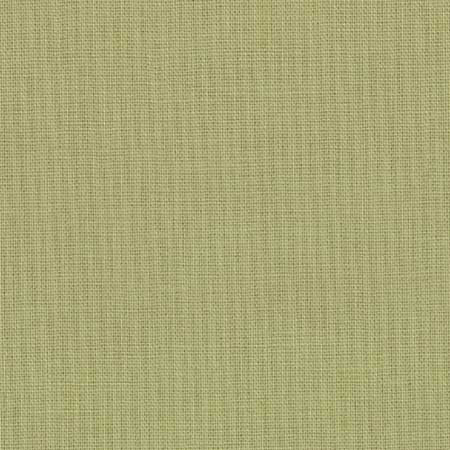Moda Bella Solids Sage (Green)