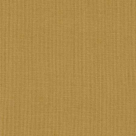 Moda Bella Solids Paper Bag (Brown)