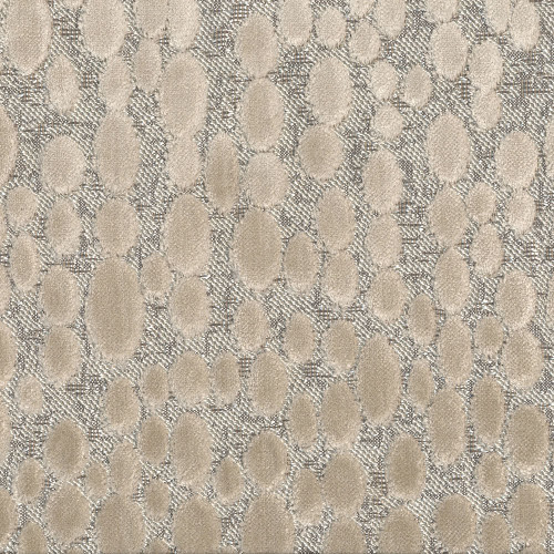 Hamilton Fabrics Finch Oyster Bubble Dot Velvet