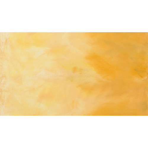 Robert Kaufman Fabrics Sky Jennifer Sampou Ombre Color Texture Honey