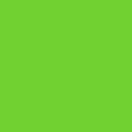 Windham Fabrics Ruby + Bee Solids Pasture (Green)