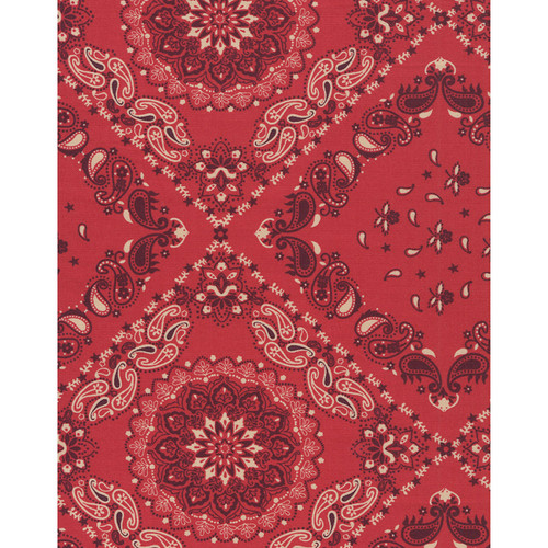Windham Fabrics 108 Inch Wide Quilt Backing Bandana Red