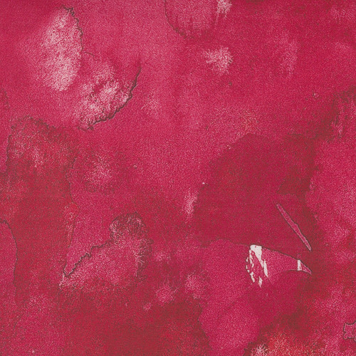 Moda Fabrics Eufloria Create Joy Project 108 Inch Wide Flow Red
