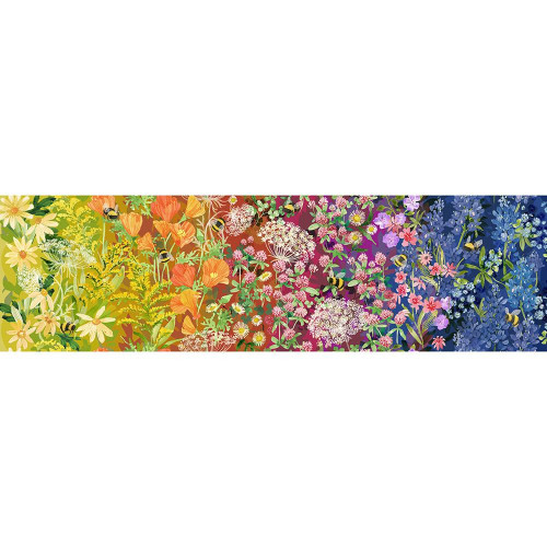 Moda Fabrics Wild Blossoms Robin Pickens Ombre Wildflowers Sun Up to Sun Down Rainbow