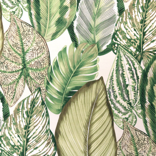 P Kaufmann Fabrics Isla Verde Dill Tropical Leaves
