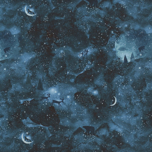 Dear Stella Fabrics 108 Inch Wide Quilt Back The Dream Multi