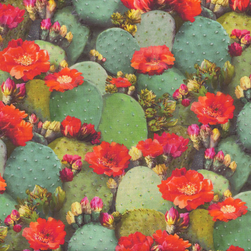 Timeless Treasures Fabrics Southwest Desert Prickly Pear Cactus