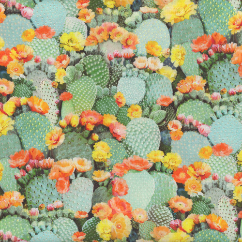 Timeless Treasures Southwest Cactus Flowers Dots