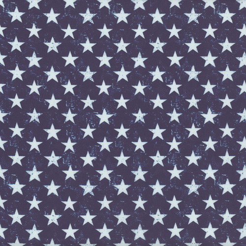 Timeless Treasures Fabrics Star Spangled Usa Patriotic Stars Navy