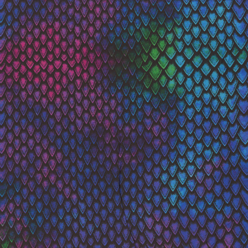 Timeless Treasures Fabrics Dinosaur Texture Dinosaur Skin Multi