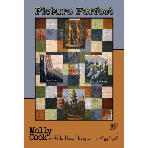 Picture Perfect Quilt Pattern by Villa Rosa Molly Cook - 56 by 72 inches.