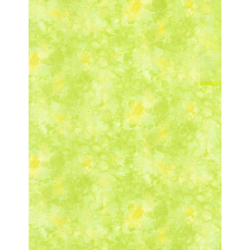 Timeless Treasures Fabrics Kimberly Einmo Solid ish Citrus