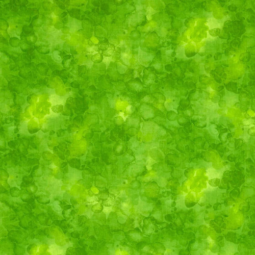 Timeless Treasures Fabrics Kimberly Einmo Solid ish Lime