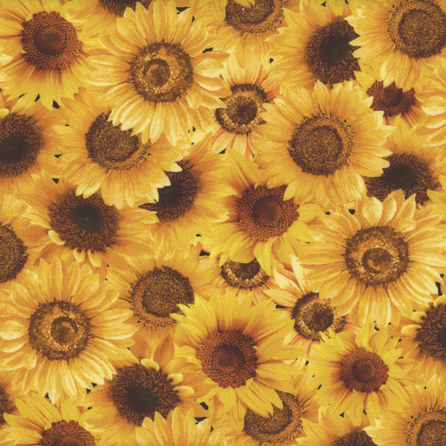 Timeless Treasures Fabrics Spring Chicken Packed Sunflowers Yellow