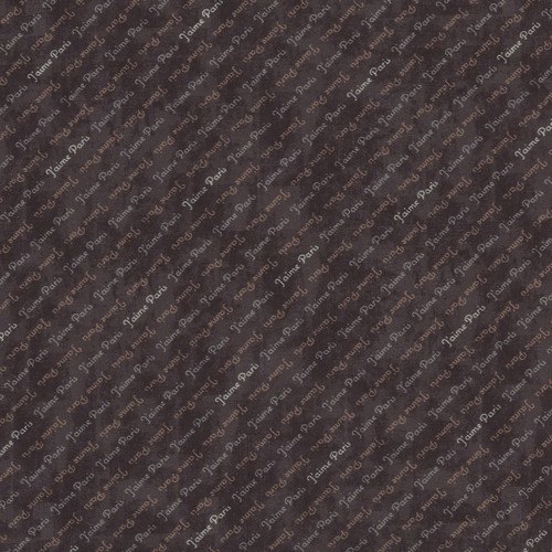 Windham Fabrics J'aime Paris J'aime Paris Black