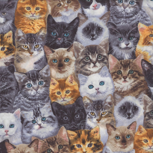 Timeless Treasures Fabrics Quirky Cats Packed Mixed Breeds of Cats Multi