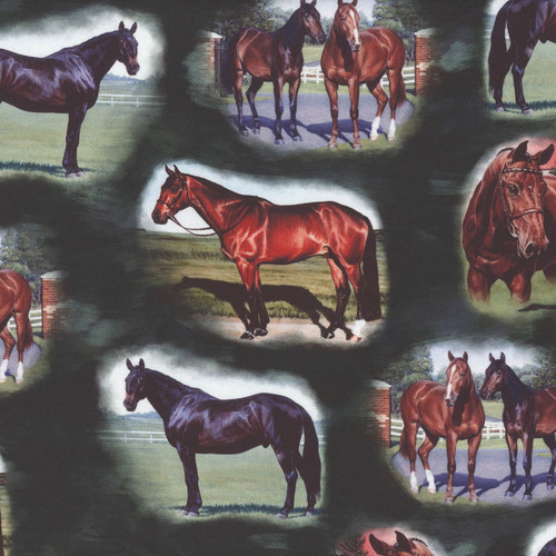 Quilting Treasures Fabrics Horse Country by Dan Morris Race Horse Vignettes Hunter Green