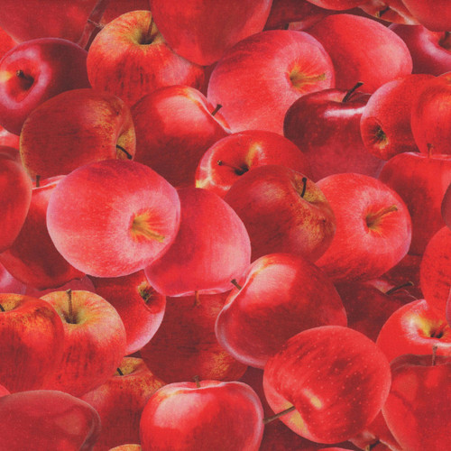 Timeless Treasures Fabrics Orchard Valley Packed Red Apples Red