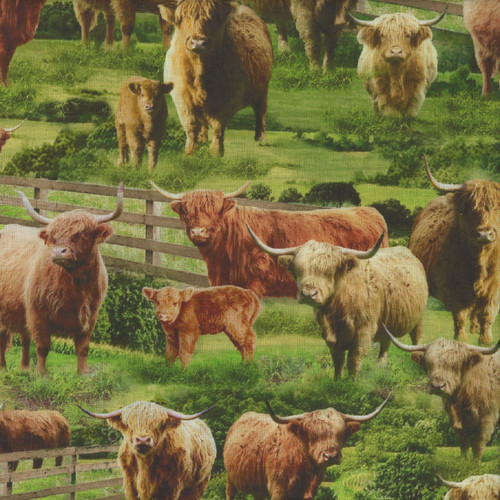 Timeless Treasures Fabrics Rolling Hills Highlands Cows Multi