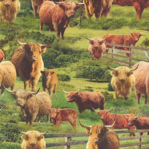 Timeless Treasures Fabrics Rolling Hills Highlands Cows Multi