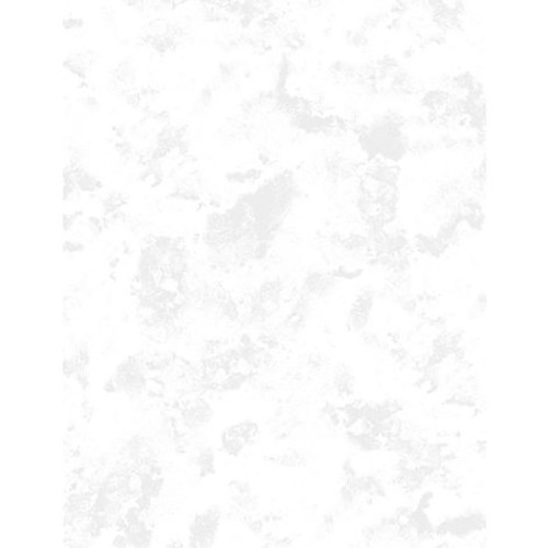 Wilmington Prints Fabrics Haze Essential 108 Quilt Backing White On White