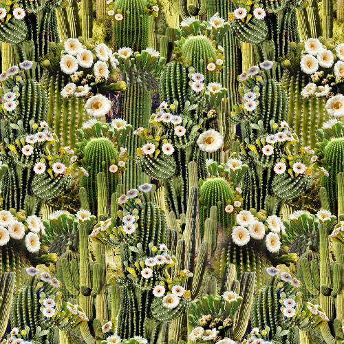 Timeless Treasures Fabrics Southwest Sunset Cactus Flowering Saguaro Cactus