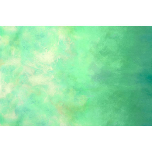 Robert Kaufman Fabrics Sky by Jennifer Sampou Fern Ombre Texture