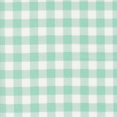 Moda Fabrics Coriander Colors Corey Yoder Aqua Gingham Check