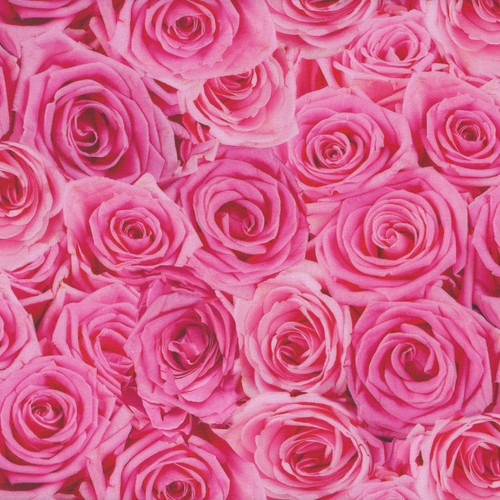 Timeless Treasures Fabrics Bellerose Fuchsia Packed Roses, scan