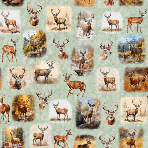 Quilting Treasures Fabrics Buck Wild Dan Morris Sage Deer Vignette