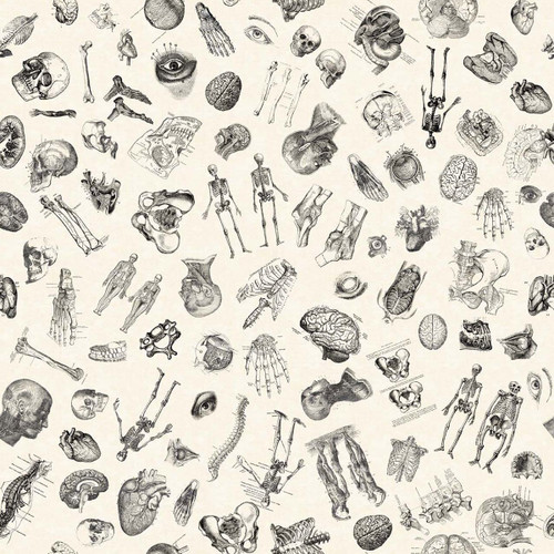 Quilting Treasures Fabrics True Detective Dan Morris Ecru Anatomy