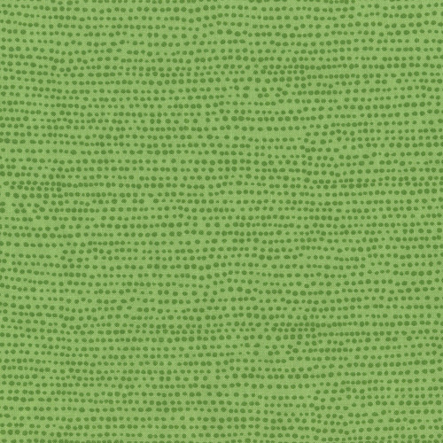 Dear Stella Moonscape Moonscape Kiwi