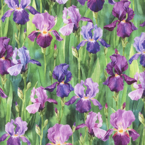 Hoffman Fabrics Flower Shoppe Viola Iris Hoffman Fabrics Flower Shoppe Viola Iris