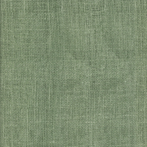 Timeless Treasures Fabrics Scarlet Beauty Aloe Green Burlap Texture