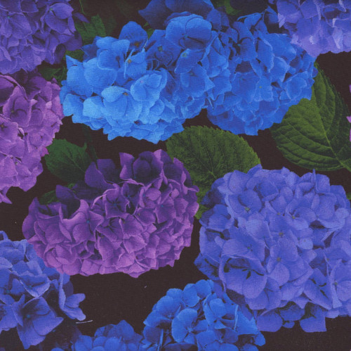 Timeless Treasures Fabrics Midnight Blooms Hydrangea Hydrangea Large Florals