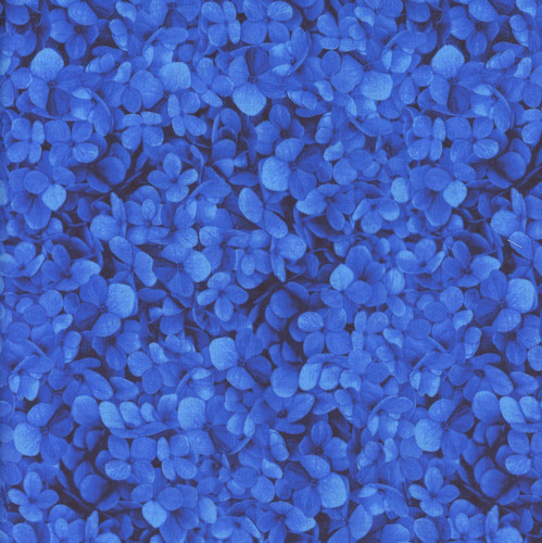 Timeless Treasures Fabrics Midnight Blooms Navy Packed Hydrangea Petals