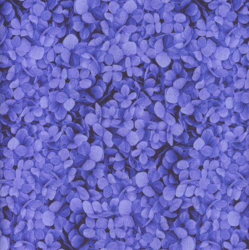 Timeless Treasures Fabrics Midnight Blooms Purple Packed Hydrangea Petals