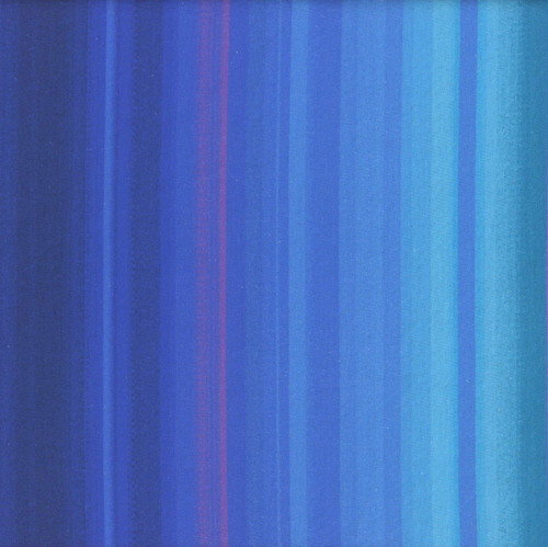 Timeless Treasures Fabrics Midnight Blooms Multi Hydrangea Stripes