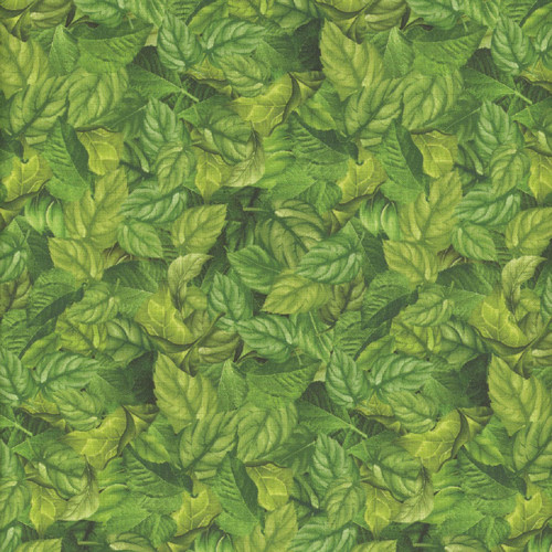 Timeless Treasures Fabrics Sunflower Farm by Chong A Hwang Green Packed Sunflowers Leaves