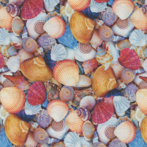 Windham Fabrics Landscapes 2020 Shellabrate Multi Shells on the Beach