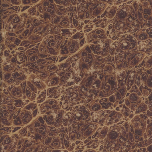 Free Spirit Fabrics Palette Neutral by Tim Holtz Eclectic Elements Neutral Marble Neutral